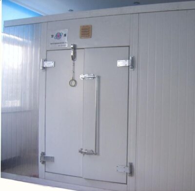 HINGED DOOR 90x190 (FROZEN)