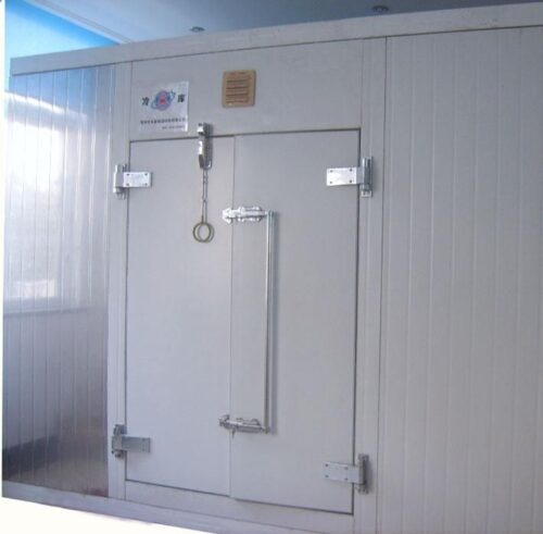 HINGED DOOR 90x190 (FROZEN)