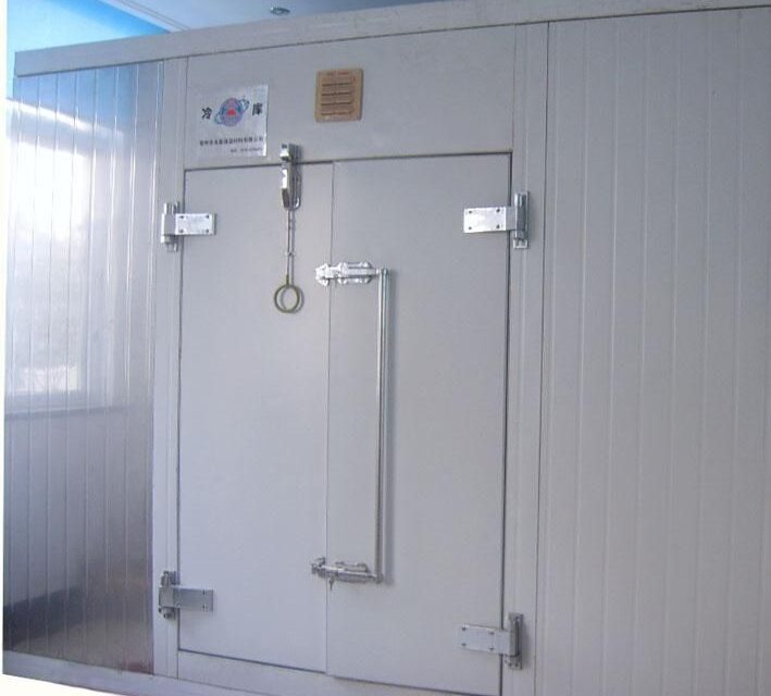 HINGED DOOR 90x190 (FROZEN)