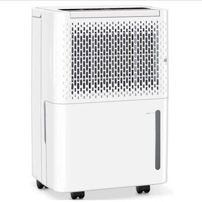 portable dehumidifier for home humidity control